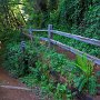 The Falls Trail is a short detour to a small waterfall.